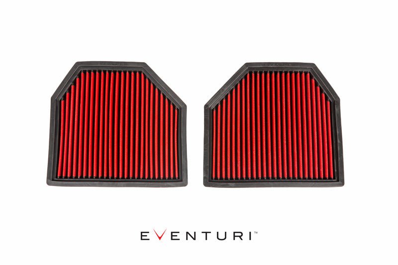 Eventuri Panel Filters - BMW F10 M5 / F06/F12/F13 M6 — view 2 of 2